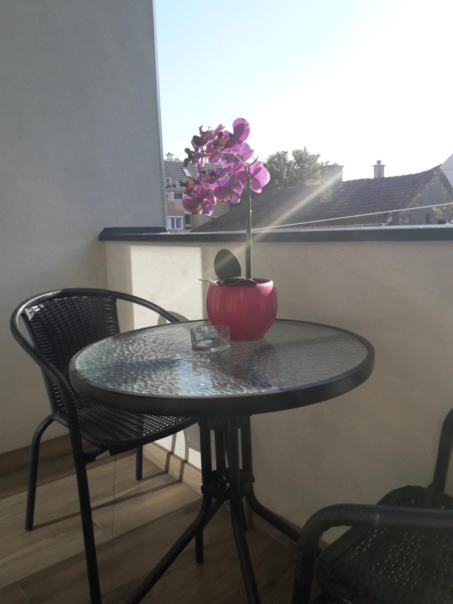 Hajnal Apartman Lejlighed Szeged Værelse billede